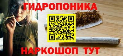 ГАЛЛЮЦИНОГЕННЫЕ ГРИБЫ Кандалакша