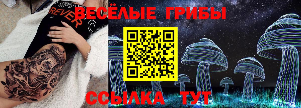 Псилоцибиновые грибы Psilocybe Краснокаменск