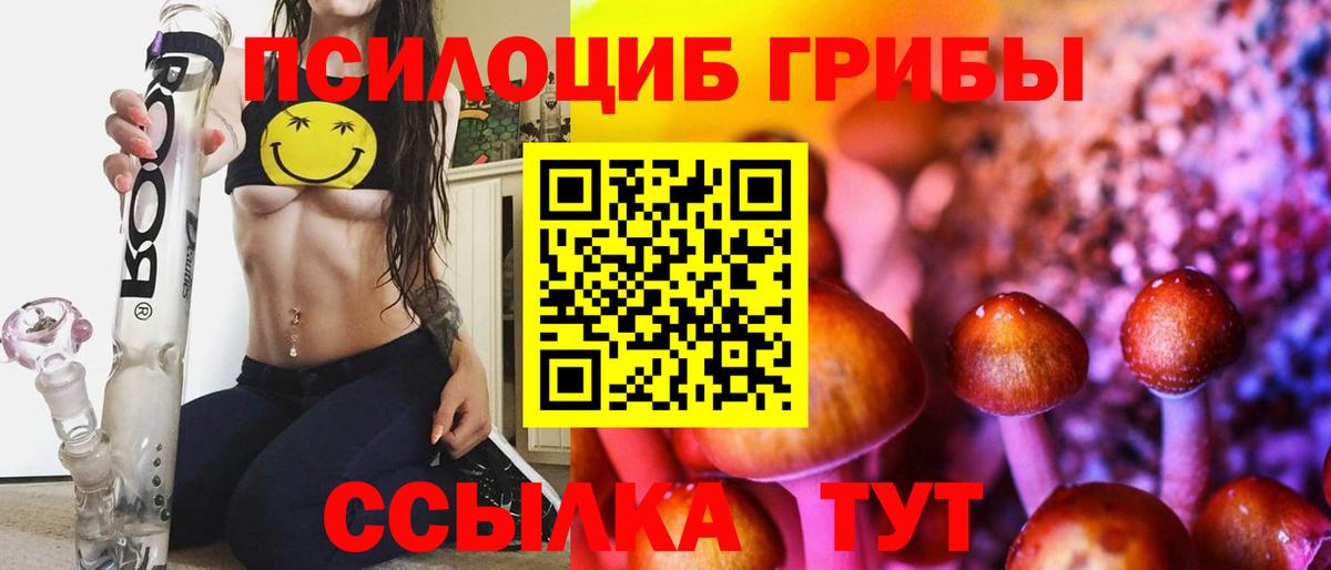 Псилоцибиновые грибы Psilocybe  Вход с VPN  Краснокаменск 